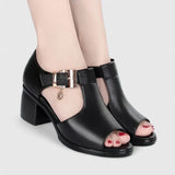 Farrah - Elegant Comfort Sandals